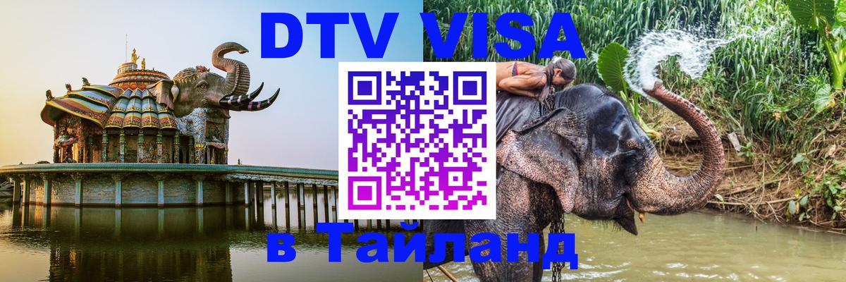 Оформление DTV визы под ключ: стоимость и тарифы, только загранпаспорт - 20.11.2025 